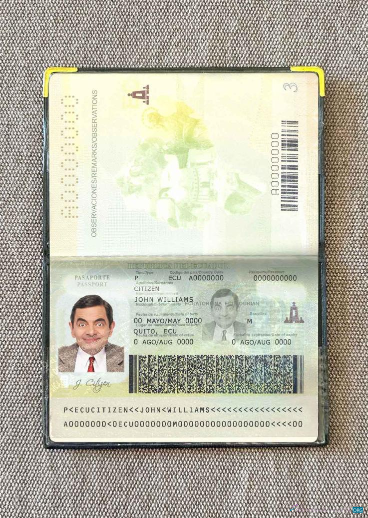 Download Ecuador passport photo look Photoshop template